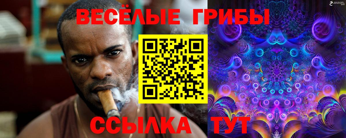 Псилоцибиновые грибы мухоморы Омск