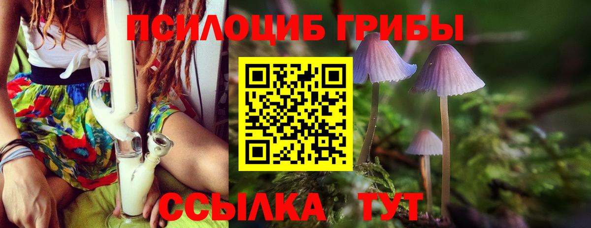 Омск  Галлюциногенные грибы мухоморы  Вход с VPN 