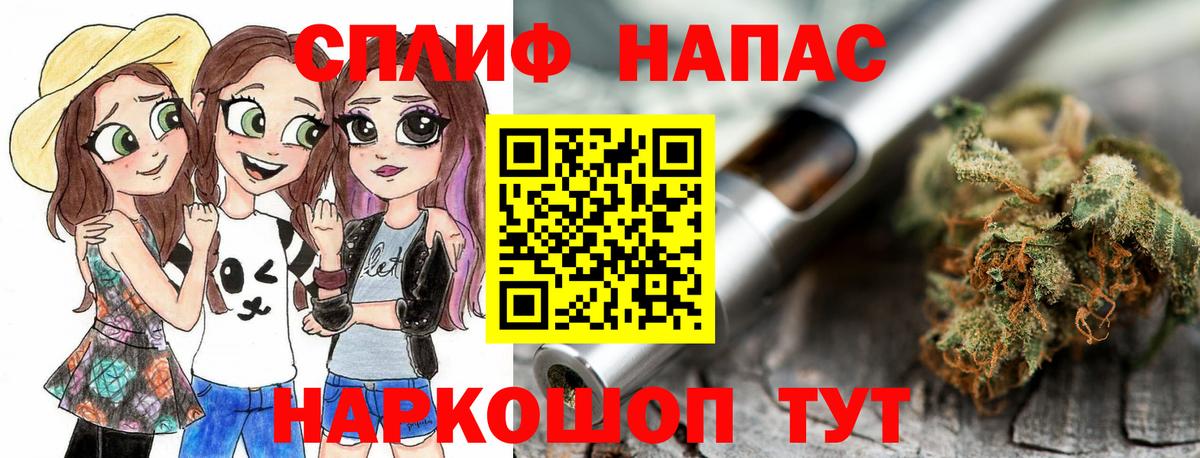 Бошки Шишки планчик Омск
